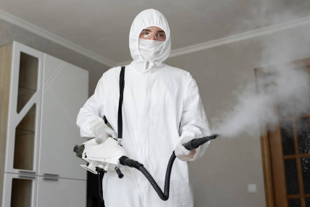 Mold Removal for HVAC Installations in Bridgeport, OH